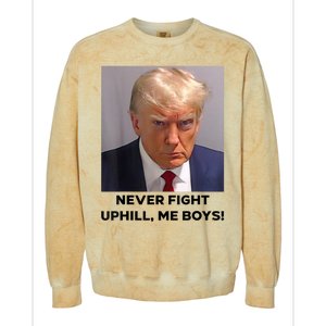 Donald Trump Never Fight Uphill Me Trump 2024 Colorblast Crewneck Sweatshirt