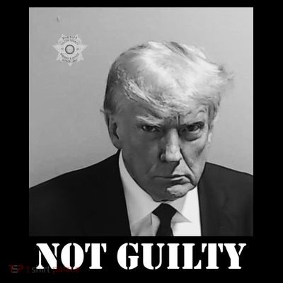 Donald Trump Not Guilty Mugshot T-Shirt
