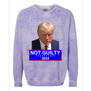 Donald Trump Not Guilty 2024 Mugshot Politcal Colorblast Crewneck Sweatshirt