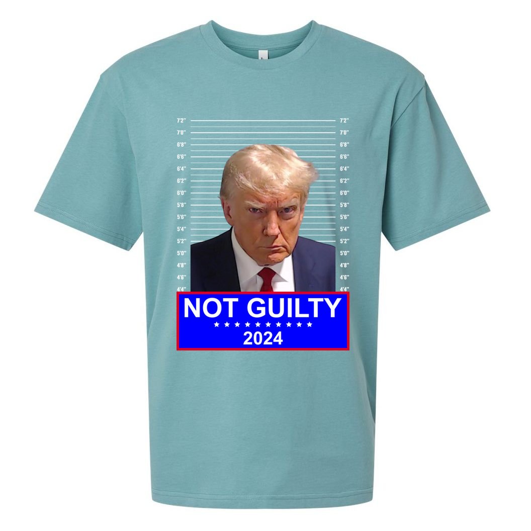 Donald Trump Not Guilty 2024 Mugshot Politcal Sueded Cloud Jersey T-Shirt