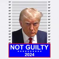 Donald Trump Not Guilty 2024 Mugshot Politcal Bucket Hat
