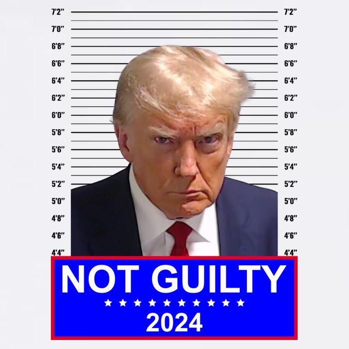 Donald Trump Not Guilty 2024 Mugshot Politcal Bucket Hat