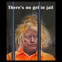 Donald Trump No Gel In Jail Zip Tote Bag