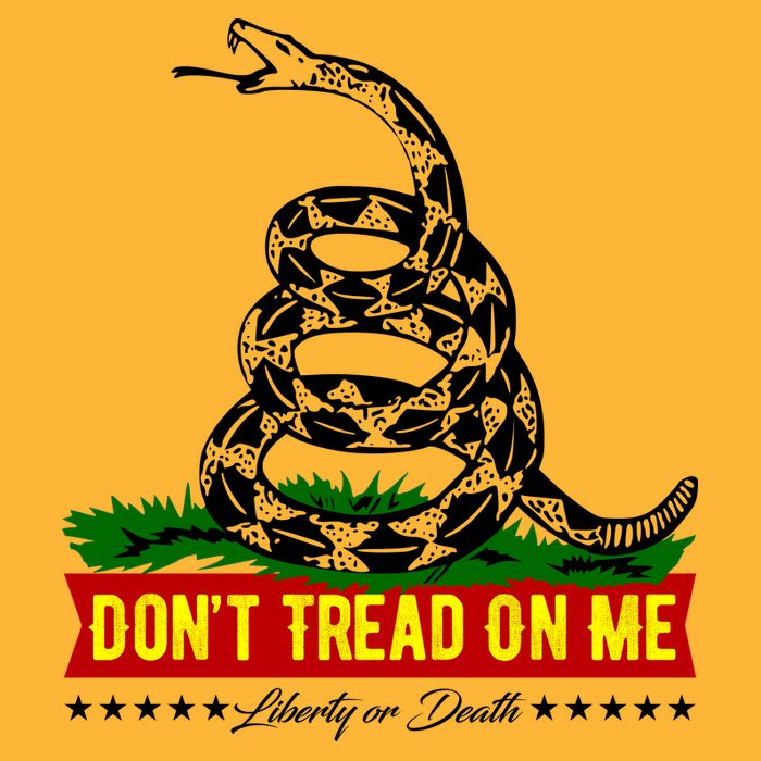 Dont Tread On Me Liberty Or Death Come & Take It Toddler T-Shirt