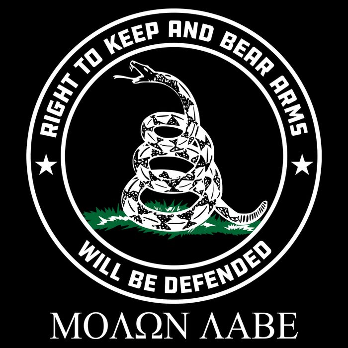 Dont Tread On Me Right To Keep & Bear Arms Come & Take It Daily Commute Backpack