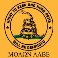 Dont Tread On Me Right To Keep & Bear Arms Come & Take It Premium T-Shirt