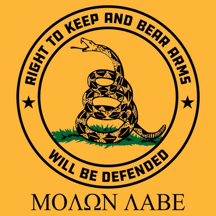 Dont Tread On Me Right To Keep & Bear Arms Come & Take It Premium T-Shirt