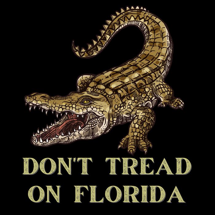 Don't Tread On Florida Toddler T-Shirt