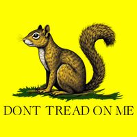 Dont Tread On Me Squirrel Women's V-Neck T-Shirt