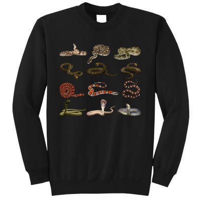 Different Types Of Snakes Boys Kids Girl Educational Serpent Gift Sweatshirt