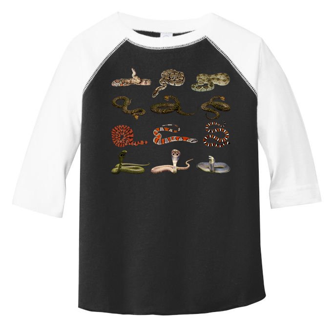 Different Types Of Snakes Boys Kids Girl Educational Serpent Gift Toddler Fine Jersey T-Shirt