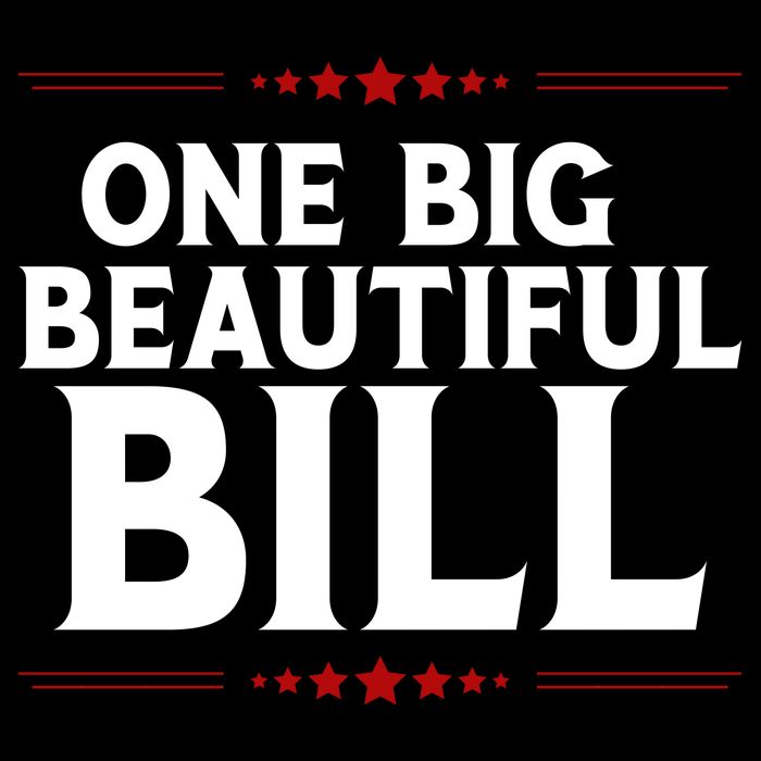 Donald Trump One Big Beautiful Bill Backpack