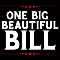 Donald Trump One Big Beautiful Bill 16 in Basic Backpack
