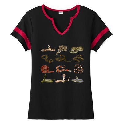 Different Types Of Snakes Boy Kids Girl Educational Serpent Ladies Halftime Notch Neck Tee