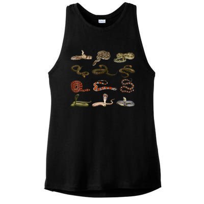 Different Types Of Snakes Boy Kids Girl Educational Serpent Ladies PosiCharge Tri-Blend Wicking Tank