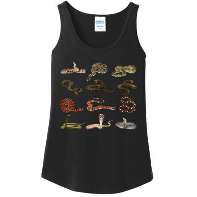 Different Types Of Snakes Boy Kids Girl Educational Serpent Ladies Essential Tank