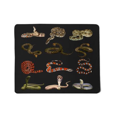 Different Types Of Snakes Boy Kids Girl Educational Serpent Mousepad