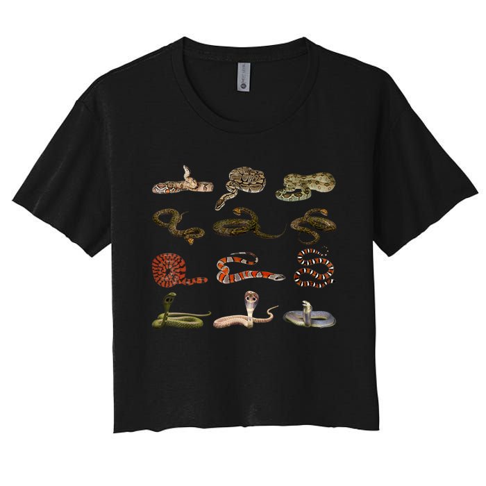 Different Types Of Snakes Boy Kids Girl Educational Serpent Women's Crop Top Tee