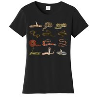 Different Types Of Snakes Boy Kids Girl Educational Serpent Women's T-Shirt