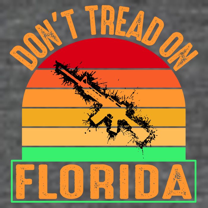 Don't Tread On Florida Vintage 2nd Amendment T-Shirt