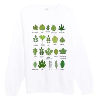 Different Types of Tree Leaves Common Leaves Nature Lovers Premium Crewneck Sweatshirt