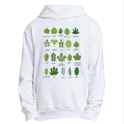 Different Types of Tree Leaves Common Leaves Nature Lovers Urban Pullover Hoodie