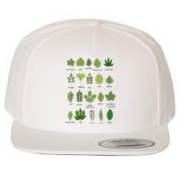 Different Types of Tree Leaves Common Leaves Nature Lovers Wool Snapback Cap