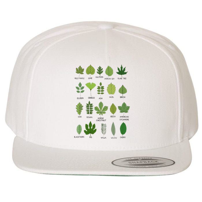 Different Types of Tree Leaves Common Leaves Nature Lovers Wool Snapback Cap