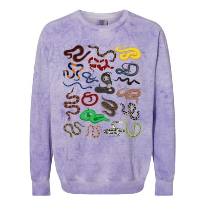 Different Types of Snakes Snake funny  Colorblast Crewneck Sweatshirt