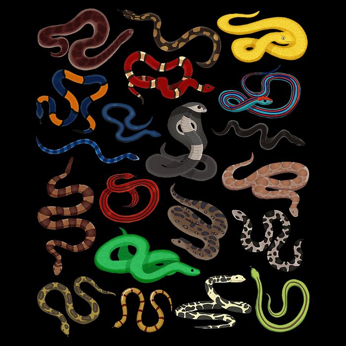 Different Types of Snakes Snake funny  Drawstring Bag