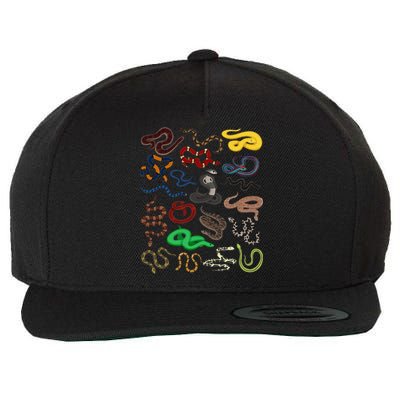 Different Types of Snakes Snake funny  Wool Snapback Cap