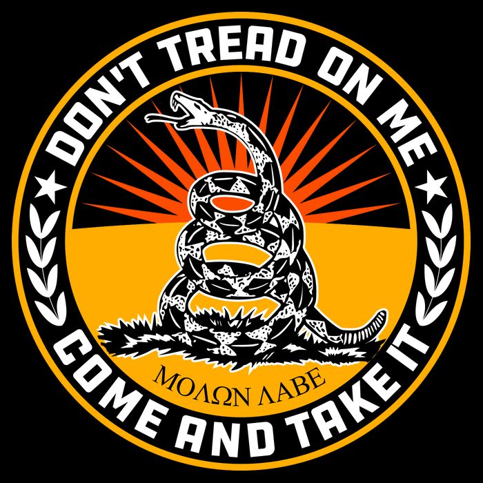 Dont Tread On Me Gadsden Flag Women's V-Neck T-Shirt