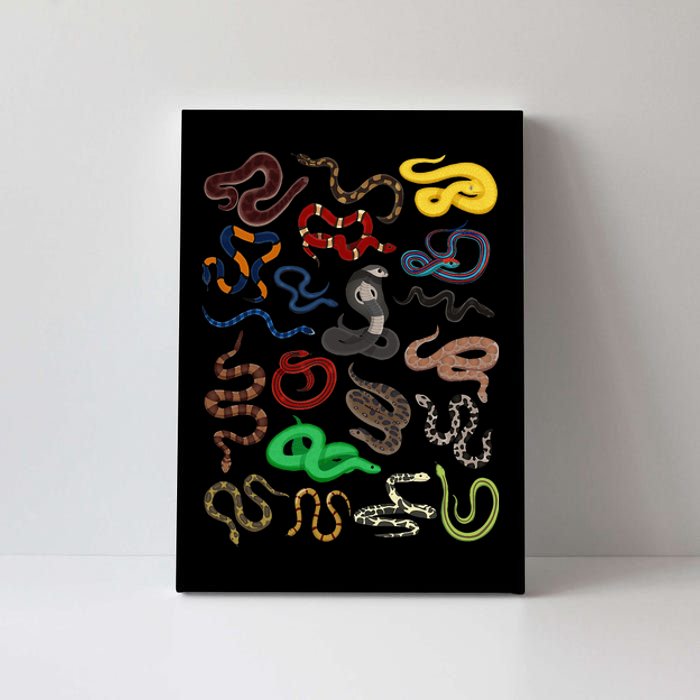 Different Types of Snakes Snake Collage Canvas