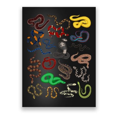 Different Types of Snakes Snake Collage Poster