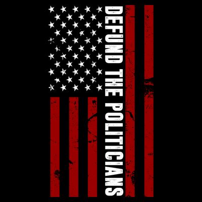 Defund The Politicians US Flag T-Shirt