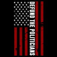 Defund The Politicians US Flag T-Shirt