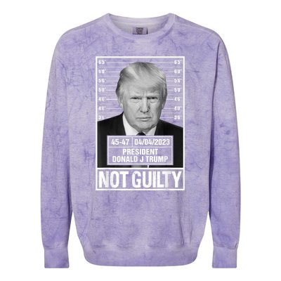 Donald Trump Police Mugshot Photo Not Guilty 4547 President Colorblast Crewneck Sweatshirt