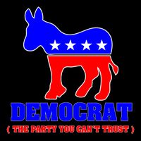 Democrat The Party You Can't Trust Wool Snapback Cap