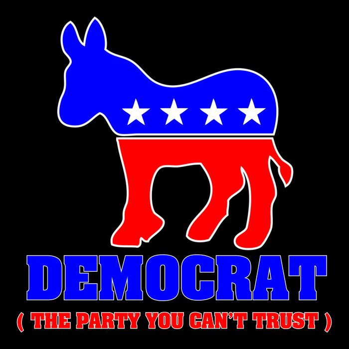 Democrat The Party You Can't Trust Wool Snapback Cap