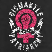 Dismantle The Patriarchy Rights Feminist Feminism 7 Panel Mesh Trucker Snapback Hat