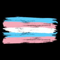 Distressed Transgender Pride Flag City Backpack