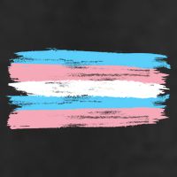 Distressed Transgender Pride Flag Adult Drive Performance Visor