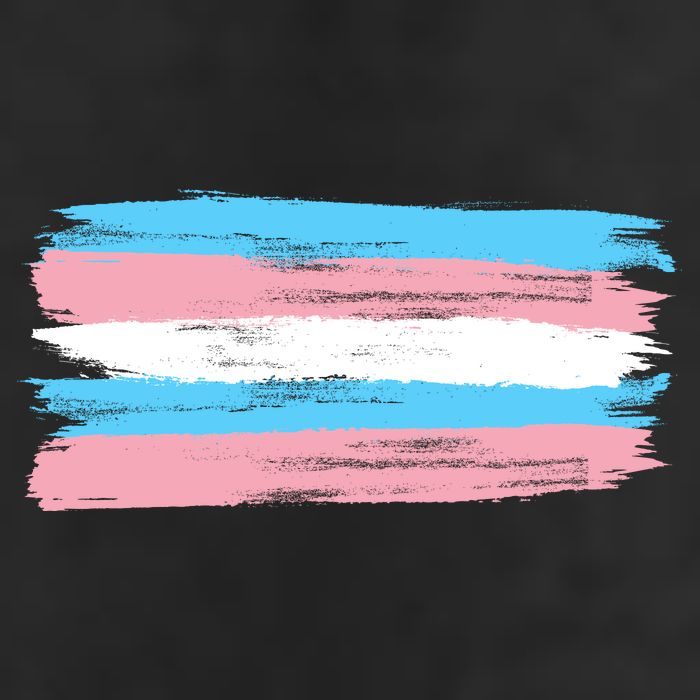 Distressed Transgender Pride Flag Adult Drive Performance Visor