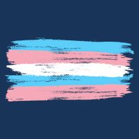 Distressed Transgender Pride Flag 7 Panel Mesh Trucker Snapback Hat
