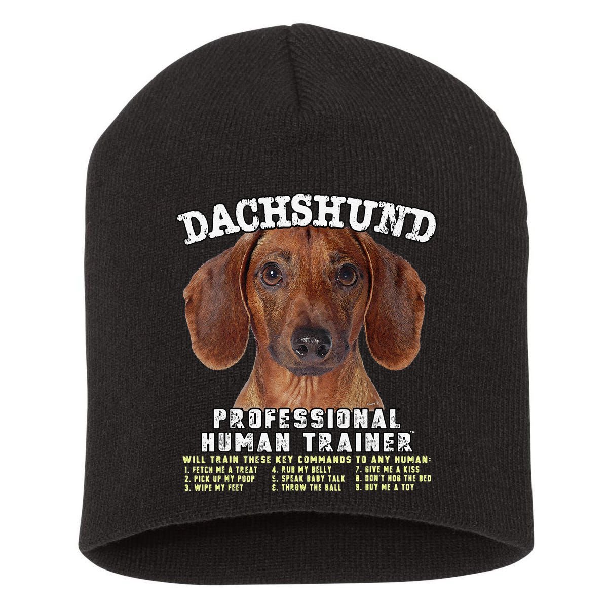 Dachshund Tan Professional Human Trainer Cute Dog Short Acrylic Beanie