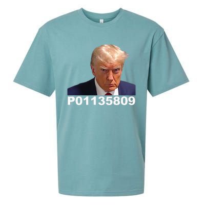 Donald Trump Prison Mugshot Funny Fulton County GA Sueded Cloud Jersey T-Shirt