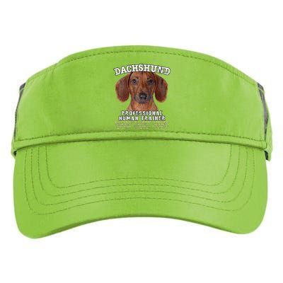 Dachshund Tan Professional Human Trainer Adult Drive Performance Visor