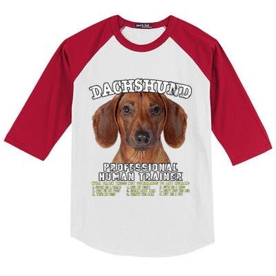 Dachshund Tan Professional Human Trainer Kids Colorblock Raglan Jersey