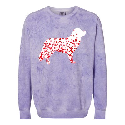 Duck Tolling Retriever Heart Dog Valentine's Day Gift Colorblast Crewneck Sweatshirt