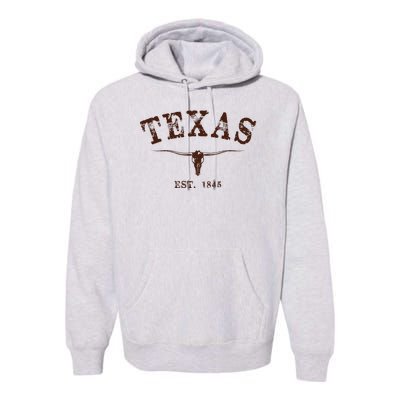 Distressed Texas State Premium Hoodie